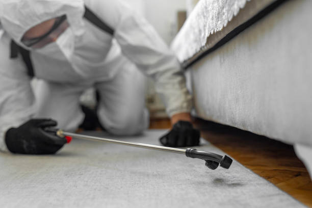 Professional Termite Control technician working in University, MS