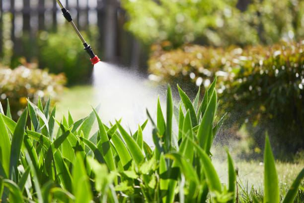 24/7 Emergency Termite Control experts in University, MS