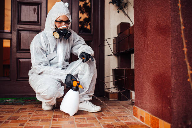 Reliable Termite Control contractor in University, MS by Nex Pest Control