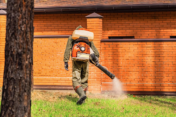 Top rated local Termite Control specialists in University, MS